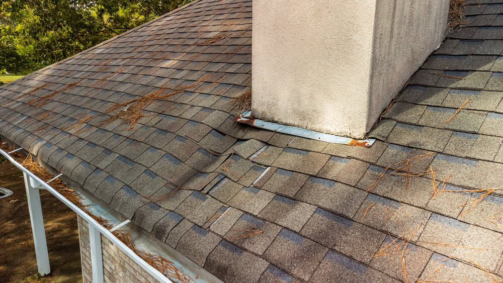 A sloped shingle roof with pine needles scattered on it. The shingles near the chimney are warped and lifted, indicating possible water damage or roof issues.
